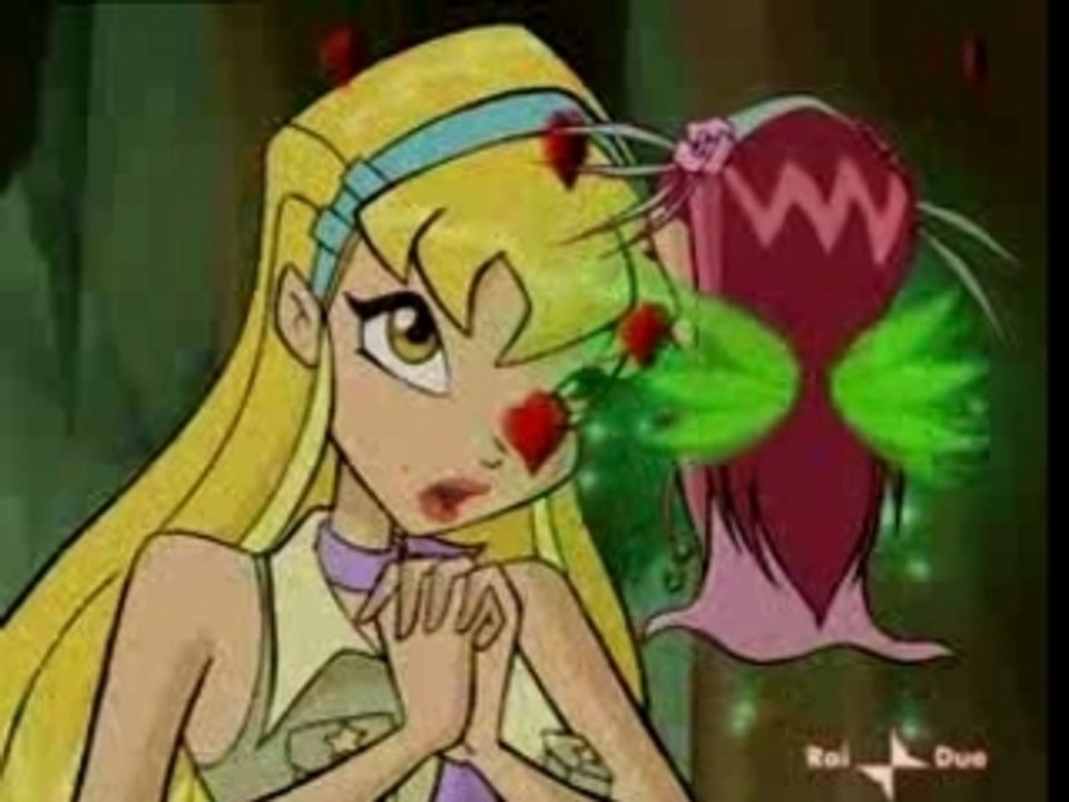 Stella Meets Amore