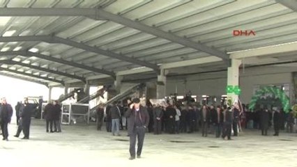 Balıkesir - Gömeç'e 15 Milyon Liralık Zeytinyağı Yatırımı