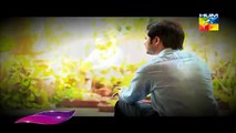 Darbadar Teray Liye OST Drama on HumTV
