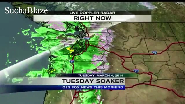 Best News Bloopers January 2015 - Reporter Fails