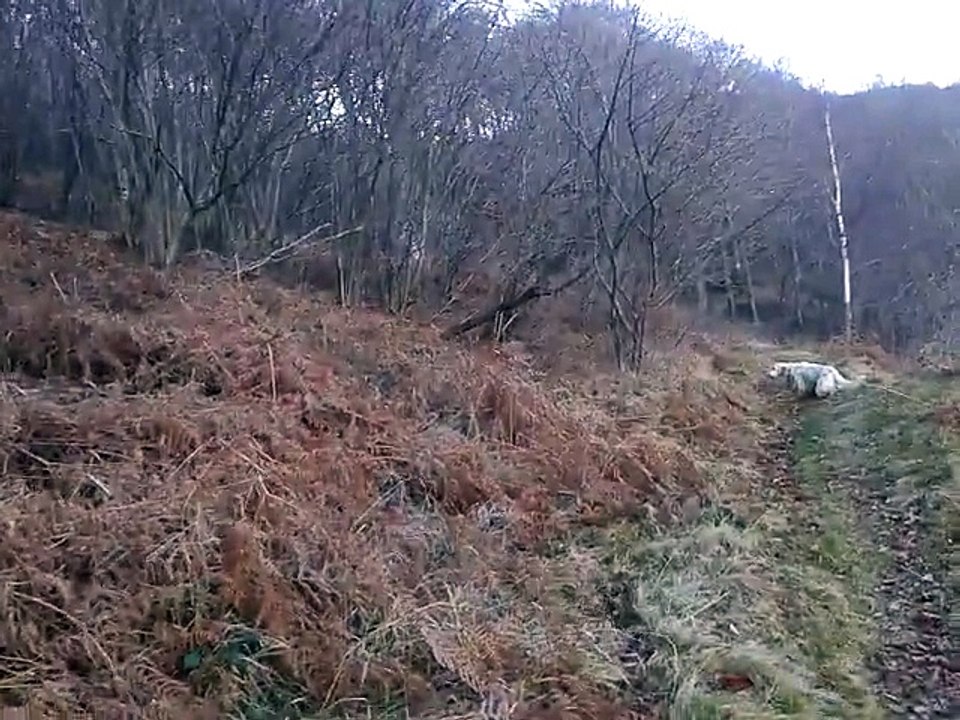doubai le 10/01/2015