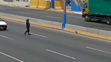 Policía peruano detiene el tráfico para rescatar a un perro atrapado en una Carretera