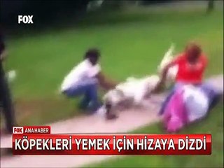 4 Yaşındaki Küçük Kız Pittbulları böyle hizaya dizip yemek komutu verdi