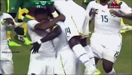 Amical : Cameroun 1-1 Afrique du Sud