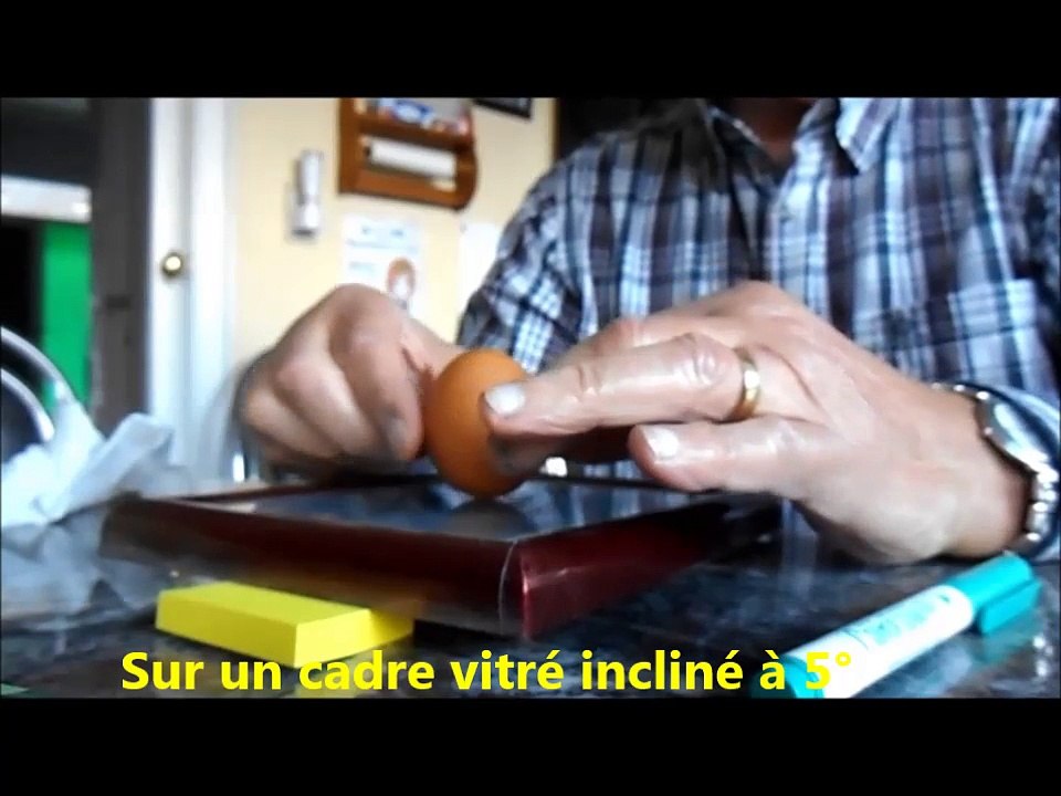 L'oeuf debout " meilleurs voeux 2015 "