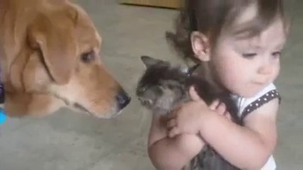 Little girl loves kitten