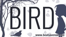 Birdy x Adele Type Beat 