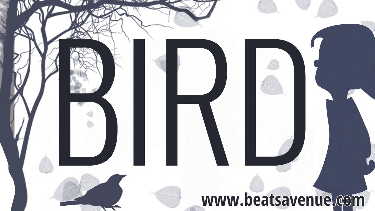 Birdy x Adele Type Beat "Bird" (Prod. By Booming Brothers For BeatsAvenue)