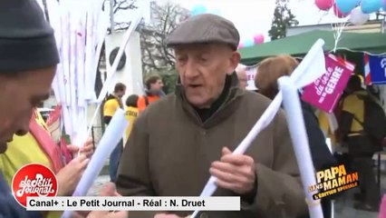 Bébé tigre, Milking, Chat qui joue au bento... Zap