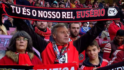 Benfica 3-0 Vitoria Guimares