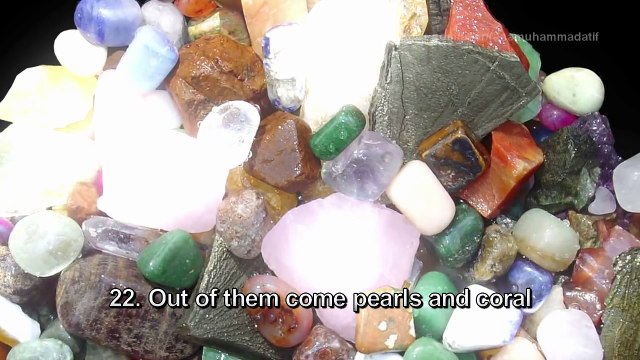 Surah Rahman - Mishary Rashid Al Afasy سورة الرحمن - مشاري العفاسي