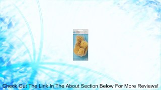 Bulk Buy: Martha Stewart Sea Sponge Cubes 6/Pkg (3-Pack) Review