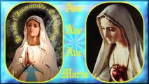 AM11. Vierge Sainte : Les 15 mystères du Rosaire