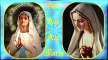 AM12. Vierge Sainte : Instrumental pour 42 couplets