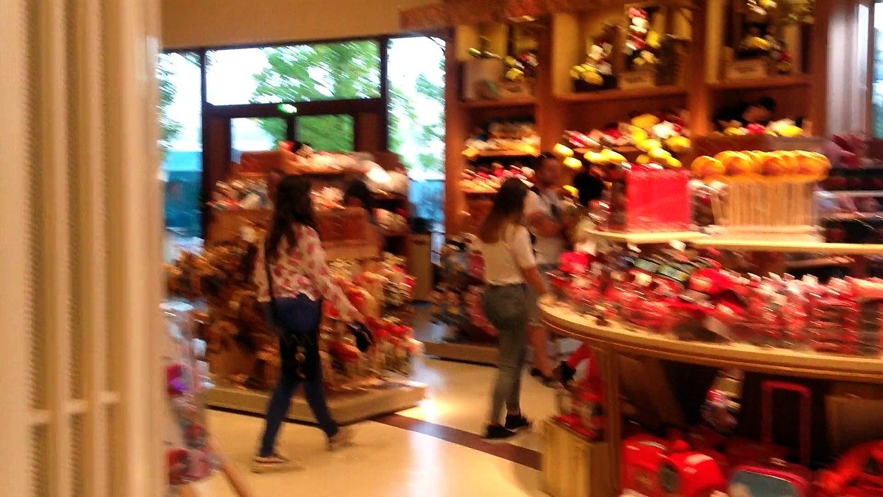 310 disneyland paris year 2014