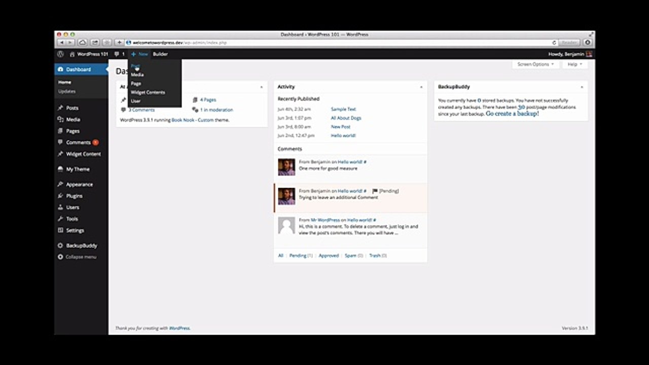 Create a WordPress Post - How to Create Posts in WordPress