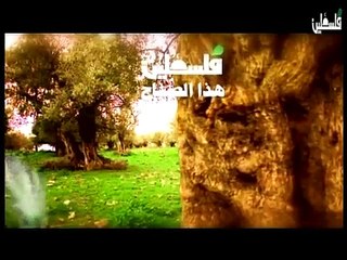 فلسطين هذا الصباح الاحد 11-1-2015  ج1