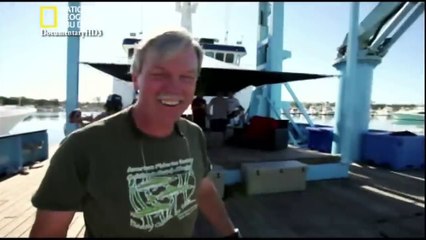 ‫وثائقي - رجال القرش الأبيض - وضع أجهزة تعقب لقروش النمر HD‬‎