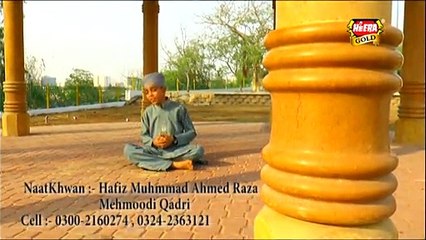 Lajpaal Nabi Mere New Video Naat - Ahmed Raza Mehmoodi - New Naat [2015]