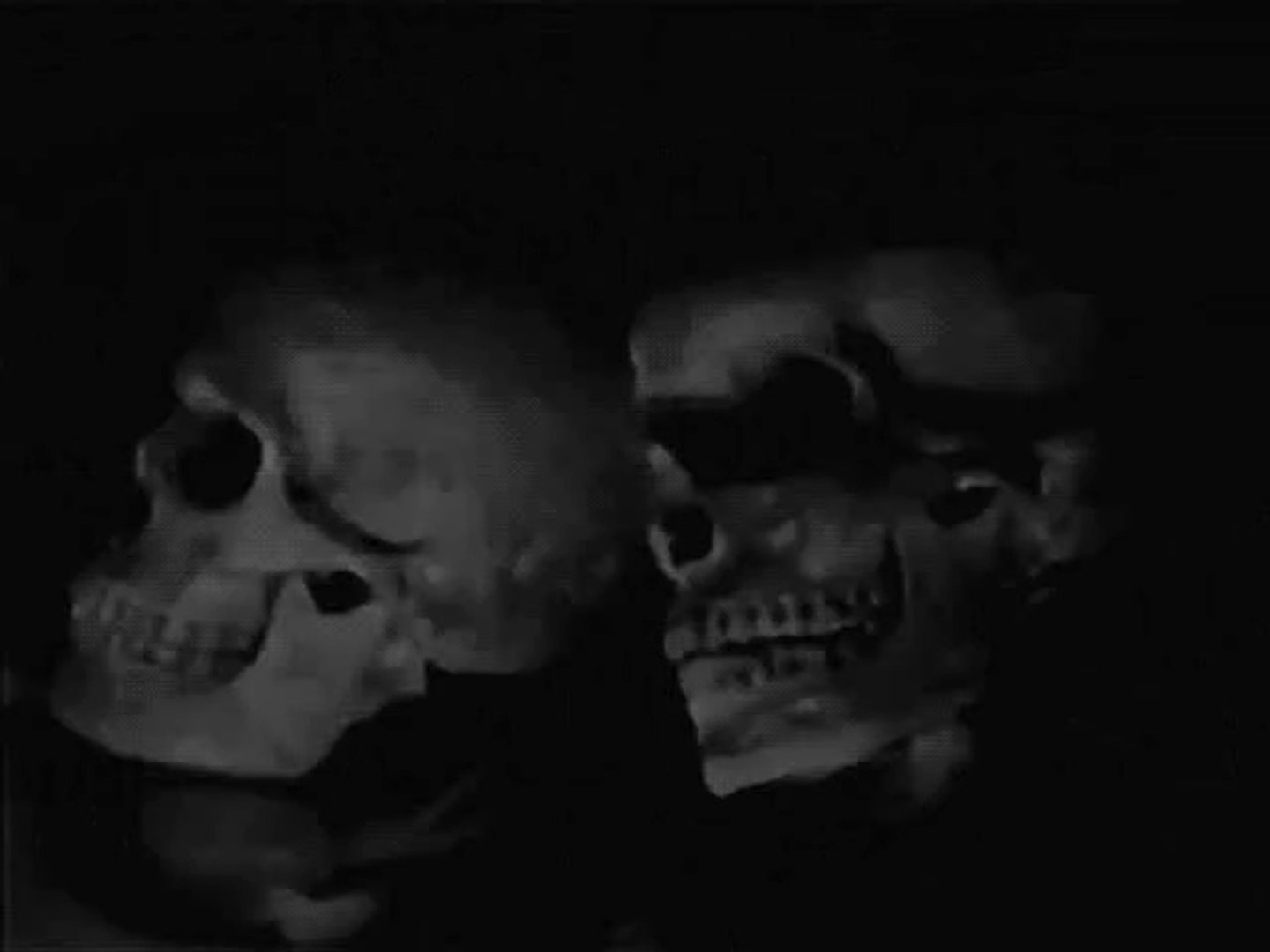 ⁣Ionic Vision - B10/ Skeleton Subways