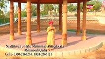 Ya Rasool Allah Video Naat - Ahmed Raza Mehmoodi -  New Naat [2015] - Naat Online