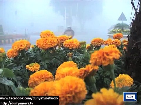Dunya News - Dense fog disrupts life in Punjab