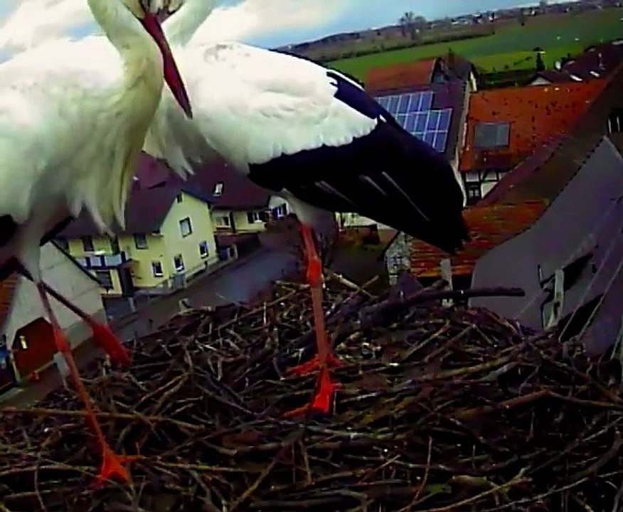 11.01.15  la vie à 2 reprend / das Leben zu 2 beginnt von neuem