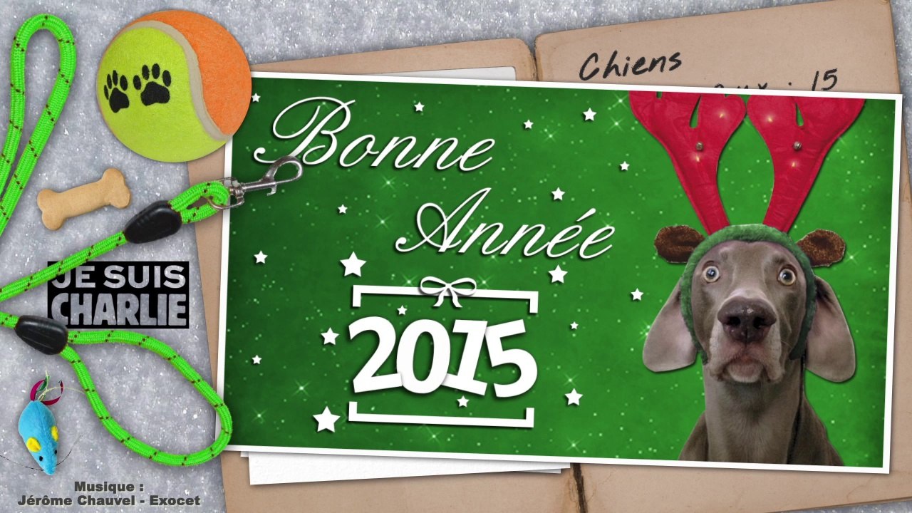 Un mois au refuge : décembre 2014