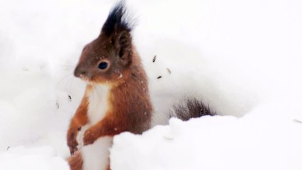 Check out Kurre's moves!