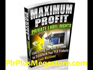 Maximum Profit Private Label Rights - eBook - Profit Using Private Label Rights Content