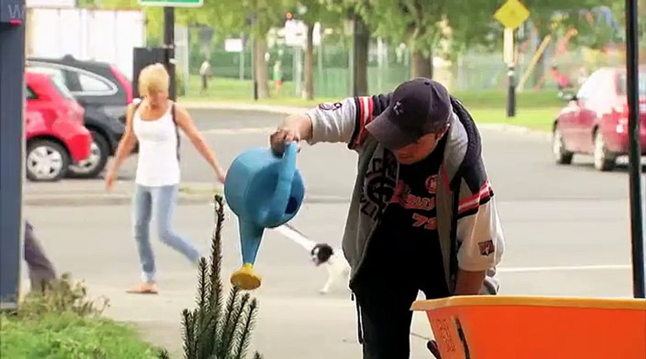 Super Quick Growing Christmas Tree-Entertainment & Fun Vidoes