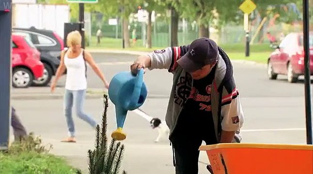 Super Quick Growing Christmas Tree-Entertainment & Fun Vidoes