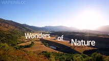 Wonders Of Nature-Entertainment & Fun Vidoes
