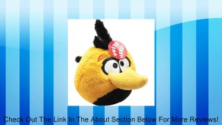 Angry Birds Plush 5-Inch Orange Globe Bird with Sound Review