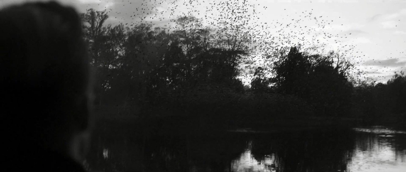 Adidas Originals : Original Superstar