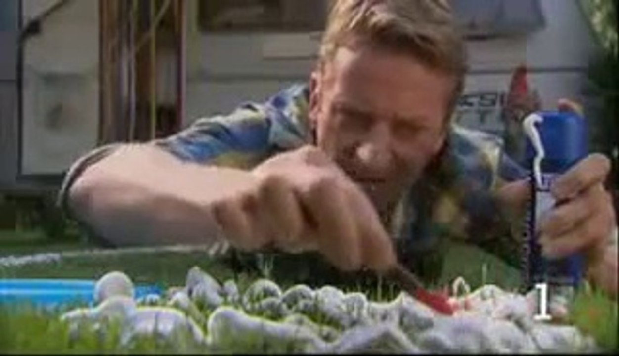 10 ways how NOT to mow your lawn