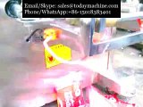 Milk Powder Bag Packing Machine,automatic chilli powder bag packing machine