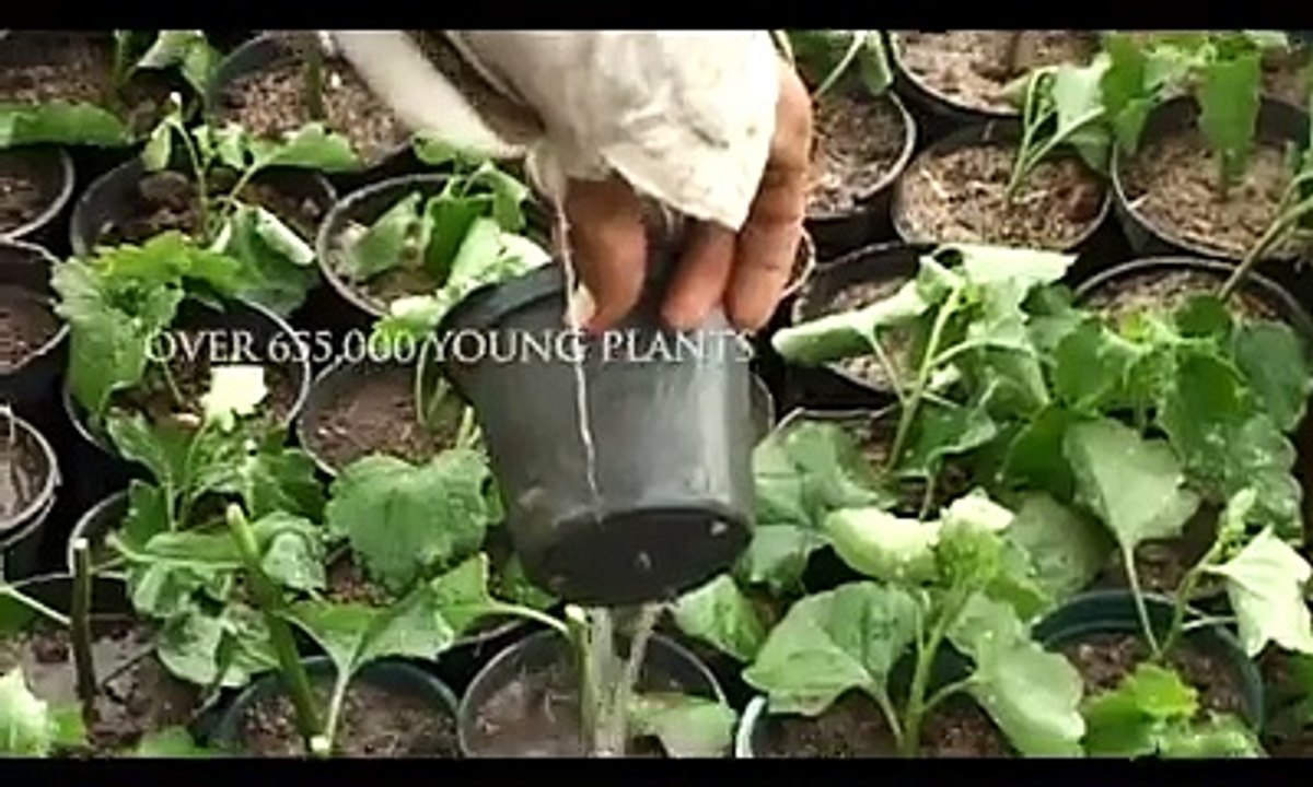 Al-Azhar Park Cairo, Egypt