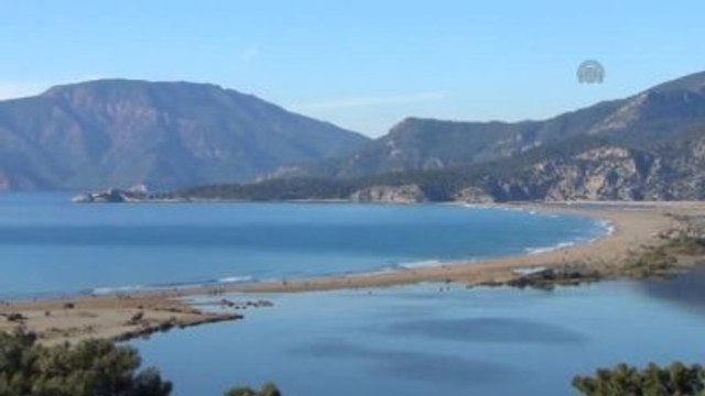 İztuzu Plajı'nın Özel Bir Şirkete Kiraya Verilmesine Tepki