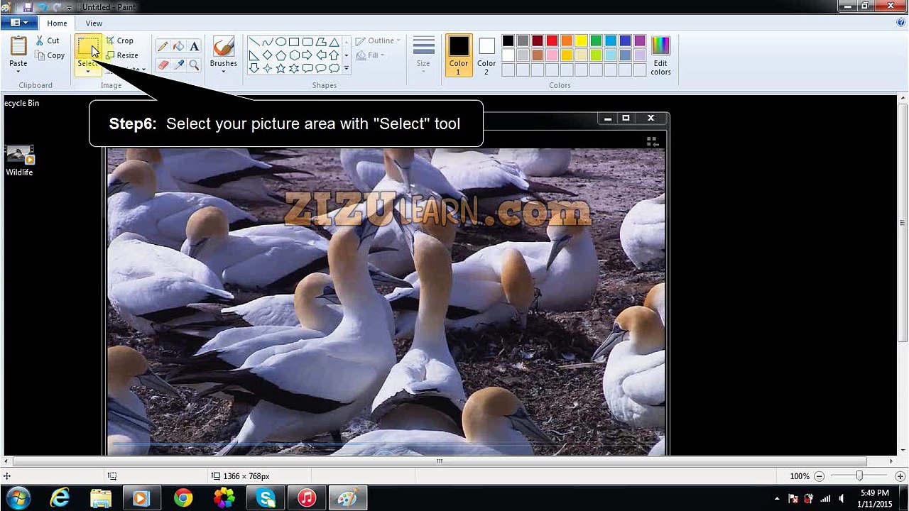 Take Picture From Video