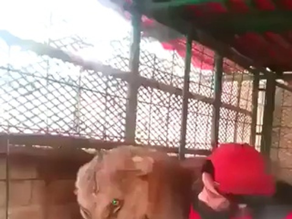 This guy is insane