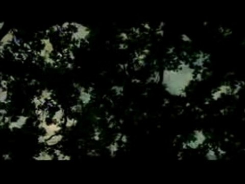 Slipknot - Vermillion Pt2