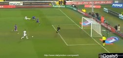 Robin Quaison Goal Fiorentina 2 - 1 Palermo Seria A 11-1-2015