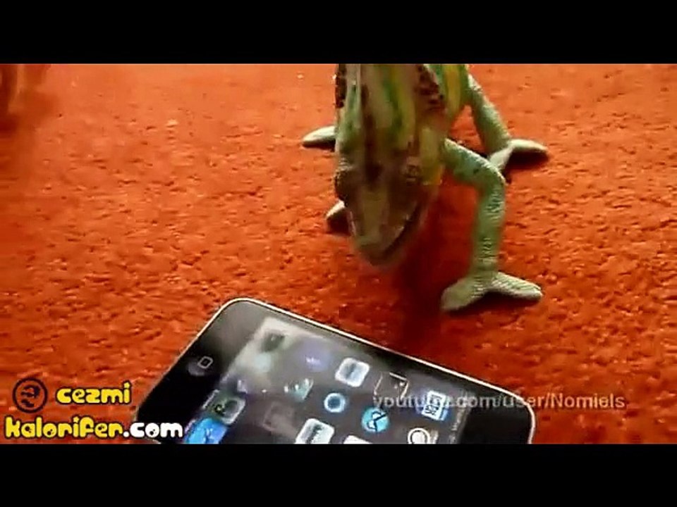 Iphone Gören Bukalemun