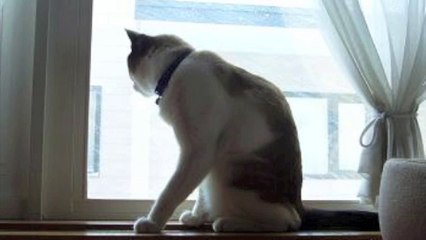 とんとご無沙汰