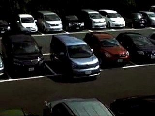 Test to Pass the Driving License