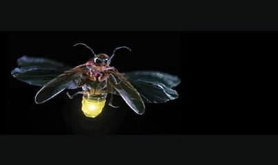 hamara kia hy best ghazal