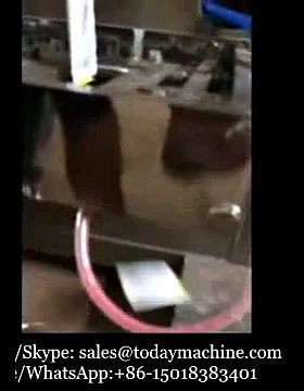 high filling precision Automatic liquid packaging equipment for fruit sauce,ice lollies packing machine