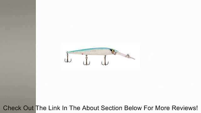 Smithwick Lures Deep Suspending Rattlin' Rogue Fishing Lure Review