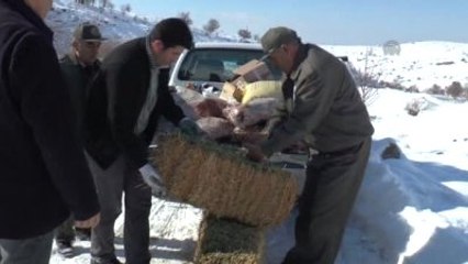 Malatya'da Yaban Hayvanları İçin Doğaya Yem Bırakıldı